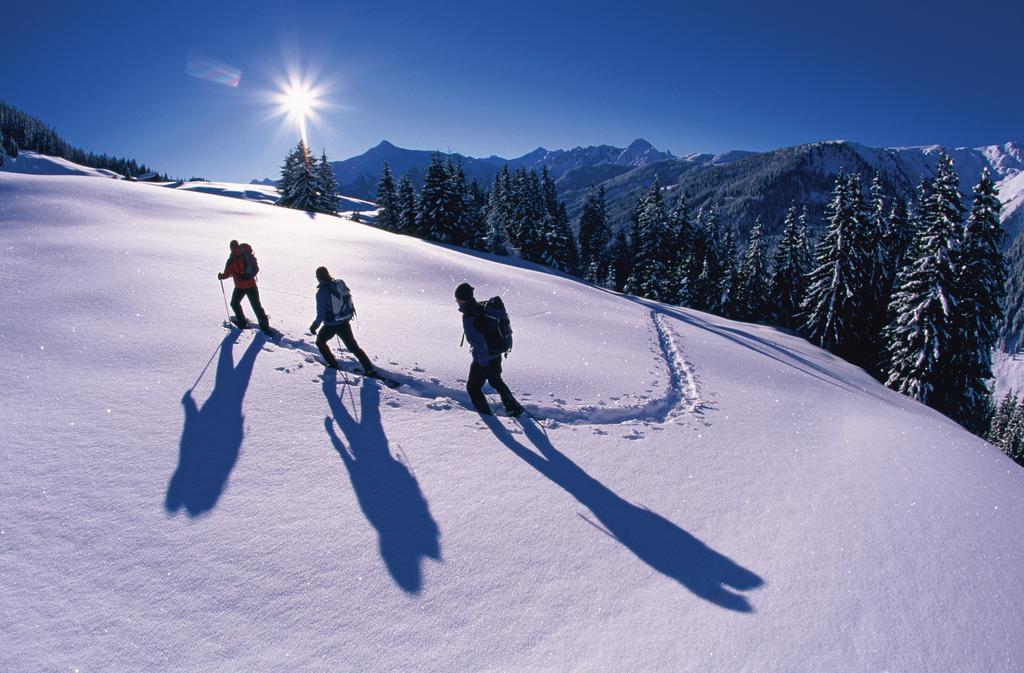 Apart Christine Aschau Im Zillertal Экстерьер фото